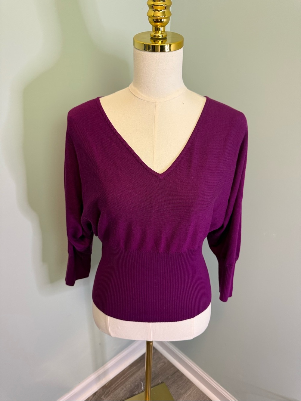 Express Stretch Silk Blend V-Neck Dolman Sleeve Ribbed Waist Sweater Purple XL